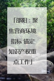 邵阳：聚焦营商环境指标 锚定知识产权重点工作