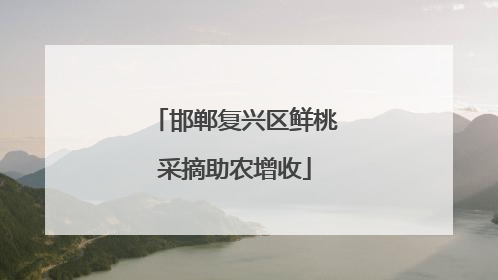 邯郸复兴区鲜桃采摘助农增收