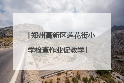 郑州高新区莲花街小学检查作业促教学