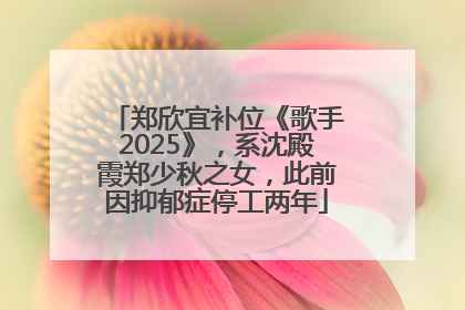 郑欣宜补位《歌手2025》，系沈殿霞郑少秋之女，此前因抑郁症停工两年