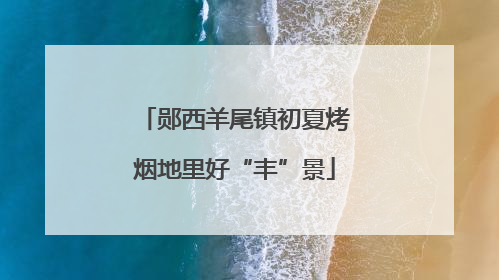 郧西羊尾镇初夏烤烟地里好“丰”景