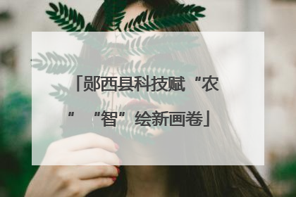 郧西县科技赋“农”“智”绘新画卷