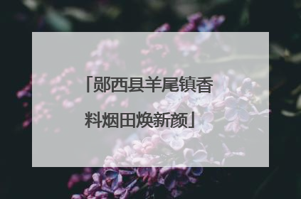郧西县羊尾镇香料烟田焕新颜