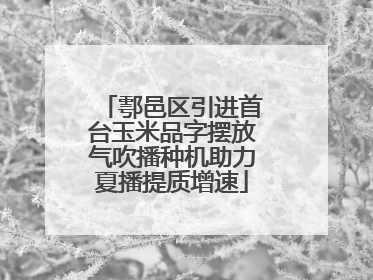 鄠邑区引进首台玉米品字摆放气吹播种机助力夏播提质增速