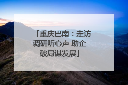 重庆巴南：走访调研听心声 助企破局谋发展