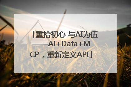 重拾初心 与AI为伍——AI+Data+MCP，重新定义API
