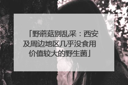 野蘑菇别乱采：西安及周边地区几乎没食用价值较大的野生菌
