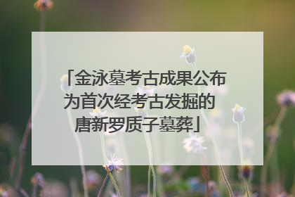 金泳墓考古成果公布 为首次经考古发掘的唐新罗质子墓葬
