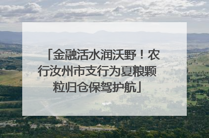 金融活水润沃野！农行汝州市支行为夏粮颗粒归仓保驾护航