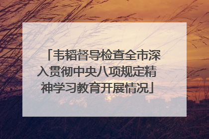韦韬督导检查全市深入贯彻中央八项规定精神学习教育开展情况