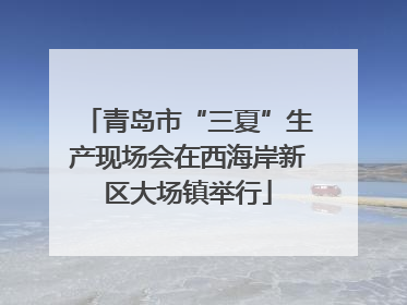 青岛市“三夏”生产现场会在西海岸新区大场镇举行