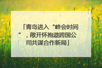 青岛进入“峰会时间”，敞开怀抱邀跨国公司共谋合作新局