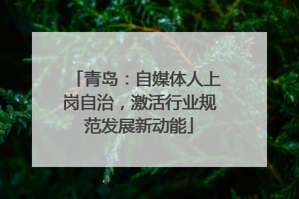 青岛：自媒体人上岗自治，激活行业规范发展新动能
