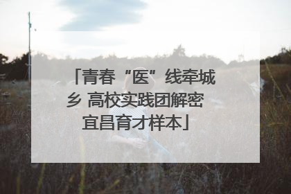 青春“医”线牵城乡 高校实践团解密宜昌育才样本