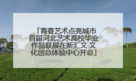 青春艺术点亮城市 首届河北艺术高校毕业作品联展在新汇文·文化创意体验中心开幕