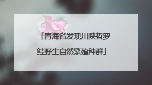 青海省发现川陕哲罗鲑野生自然繁殖种群