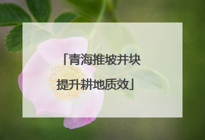 青海推坡并块提升耕地质效