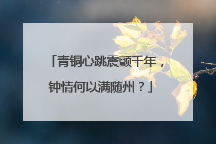 青铜心跳震颤千年，钟情何以满随州？
