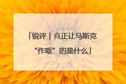 锐评｜真正让马斯克“作呕”的是什么
