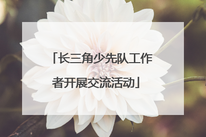 长三角少先队工作者开展交流活动
