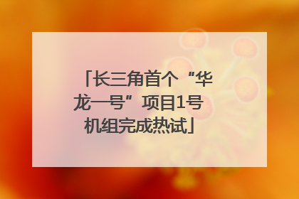 长三角首个“华龙一号”项目1号机组完成热试