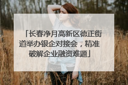 长春净月高新区德正街道举办银企对接会，精准破解企业融资难题