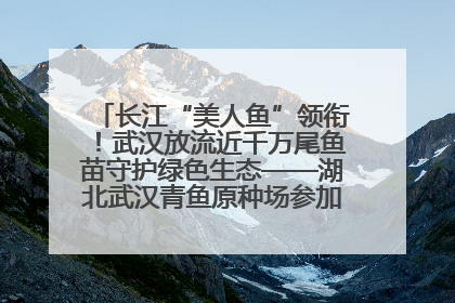 长江“美人鱼”领衔！武汉放流近千万尾鱼苗守护绿色生态——湖北武汉青鱼原种场参加2025年“全国放鱼日”增殖放流活动