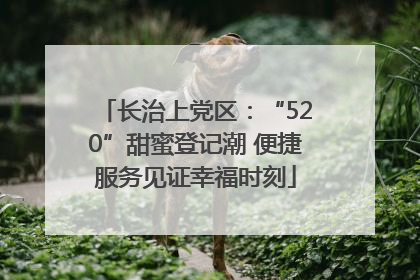 长治上党区：“520”甜蜜登记潮 便捷服务见证幸福时刻