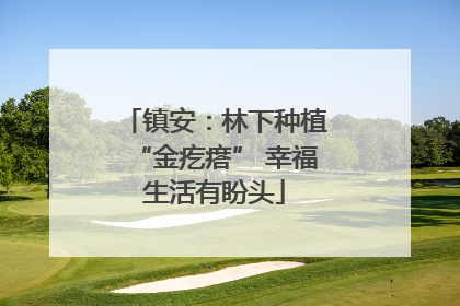 镇安：林下种植“金疙瘩” 幸福生活有盼头