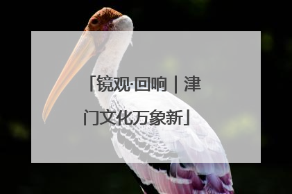 镜观·回响｜津门文化万象新