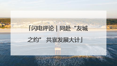 闪电评论｜同赴“友城之约” 共襄发展大计