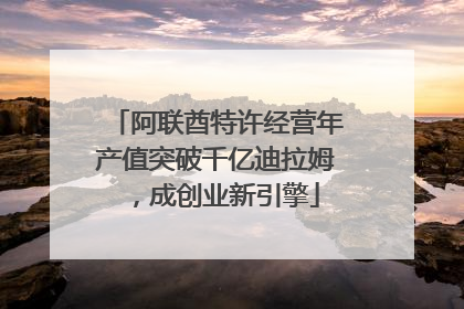 阿联酋特许经营年产值突破千亿迪拉姆，成创业新引擎