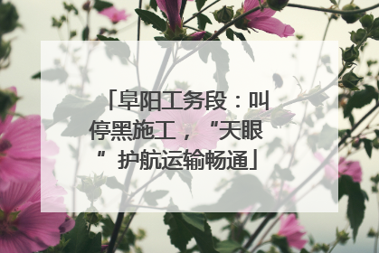 阜阳工务段：叫停黑施工，“天眼”护航运输畅通