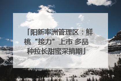 阳新率洲管理区：鲜桃“接力”上市 多品种拉长甜蜜采摘期