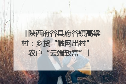 陕西府谷县府谷镇高梁村：乡货“触网出村” 农户“云端致富”