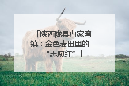陕西陇县曹家湾镇：金色麦田里的“志愿红”