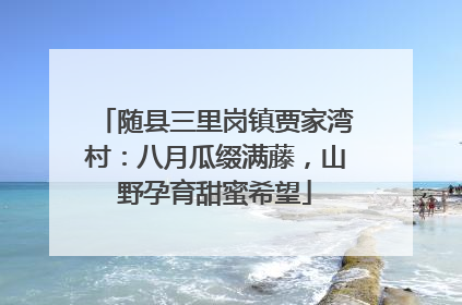 随县三里岗镇贾家湾村：八月瓜缀满藤，山野孕育甜蜜希望