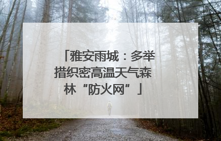雅安雨城：多举措织密高温天气森林“防火网”