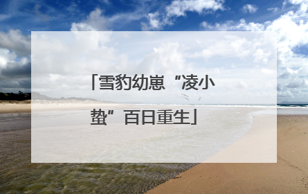 雪豹幼崽“凌小蛰”百日重生