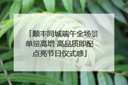 顺丰同城端午全场景单量高增 高品质即配点亮节日仪式感