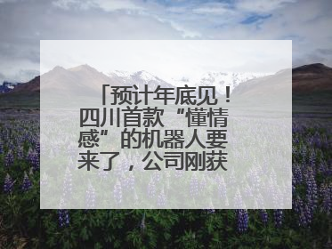 预计年底见！四川首款“懂情感”的机器人要来了，公司刚获数千万元融资