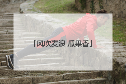 风吹麦浪 瓜果香