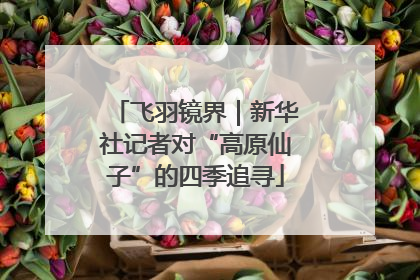 飞羽镜界｜新华社记者对“高原仙子”的四季追寻