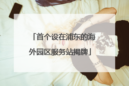 首个设在浦东的海外园区服务站揭牌