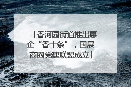 香河园街道推出惠企“香十条”，国展商圈党建联盟成立