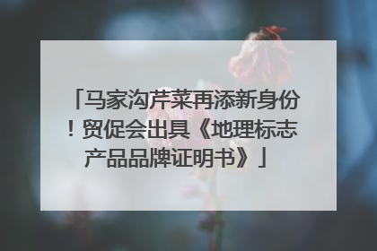马家沟芹菜再添新身份！贸促会出具《地理标志产品品牌证明书》