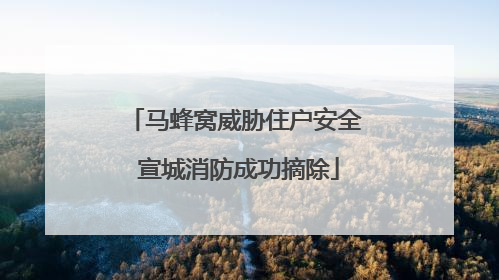 马蜂窝威胁住户安全 宣城消防成功摘除