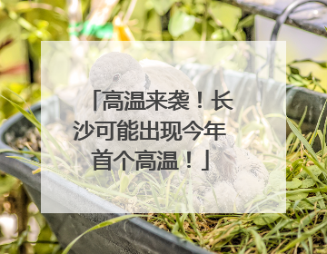 高温来袭！长沙可能出现今年首个高温！