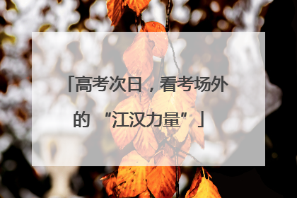 高考次日，看考场外的 “江汉力量”