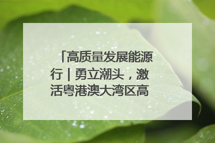 高质量发展能源行｜勇立潮头，激活粤港澳大湾区高质量发展动力源
